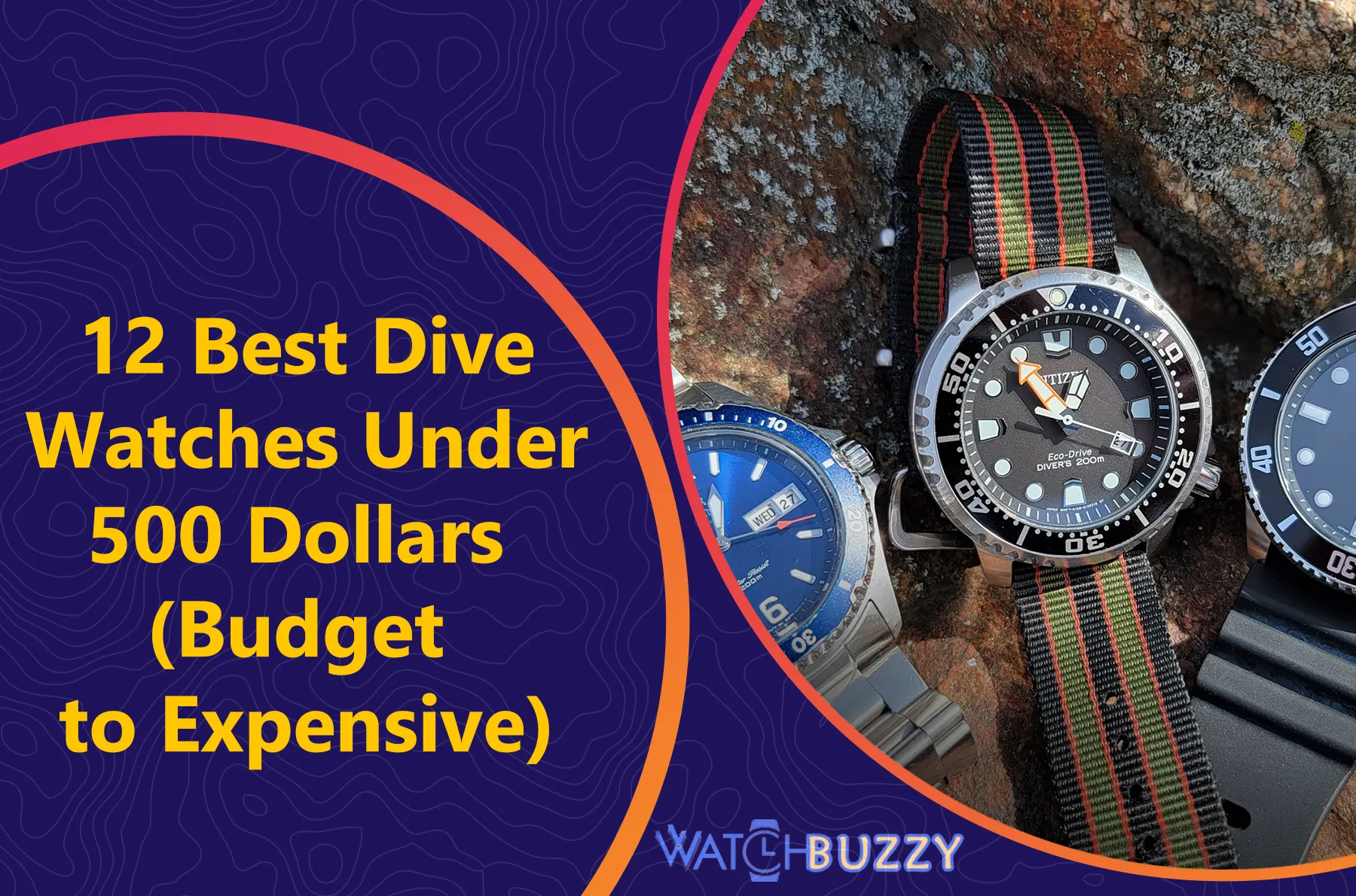 12 Best Dive Watches Under 500 Dollars (Budget to Expensive)