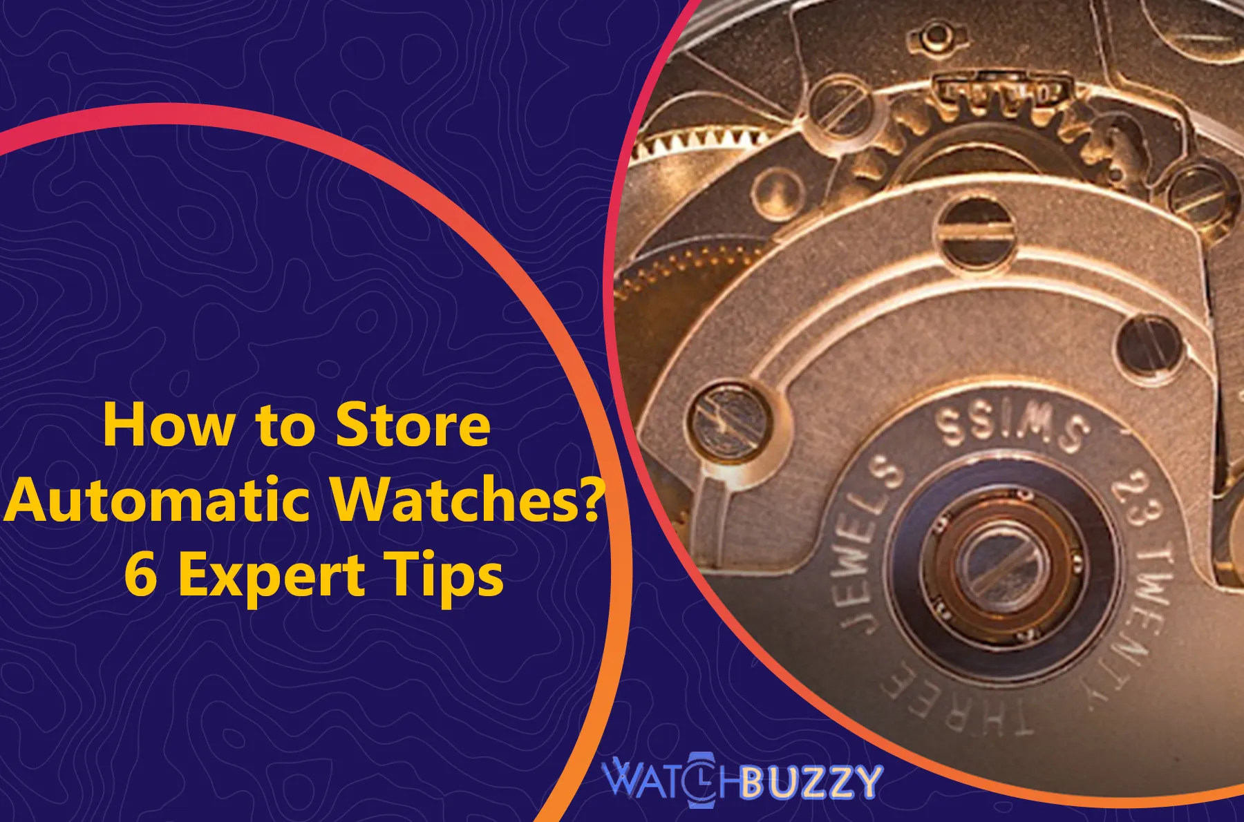 How to Store Automatic Watches? 6 Expert Tips